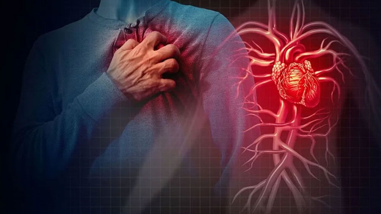 Heart Problems: మీకు ఈ లక్షణాలు కనిపిస్తున్నాయా? అయితే మీకు గుండె ప్రాబ్లమ్స్ గ్యారెంటీ