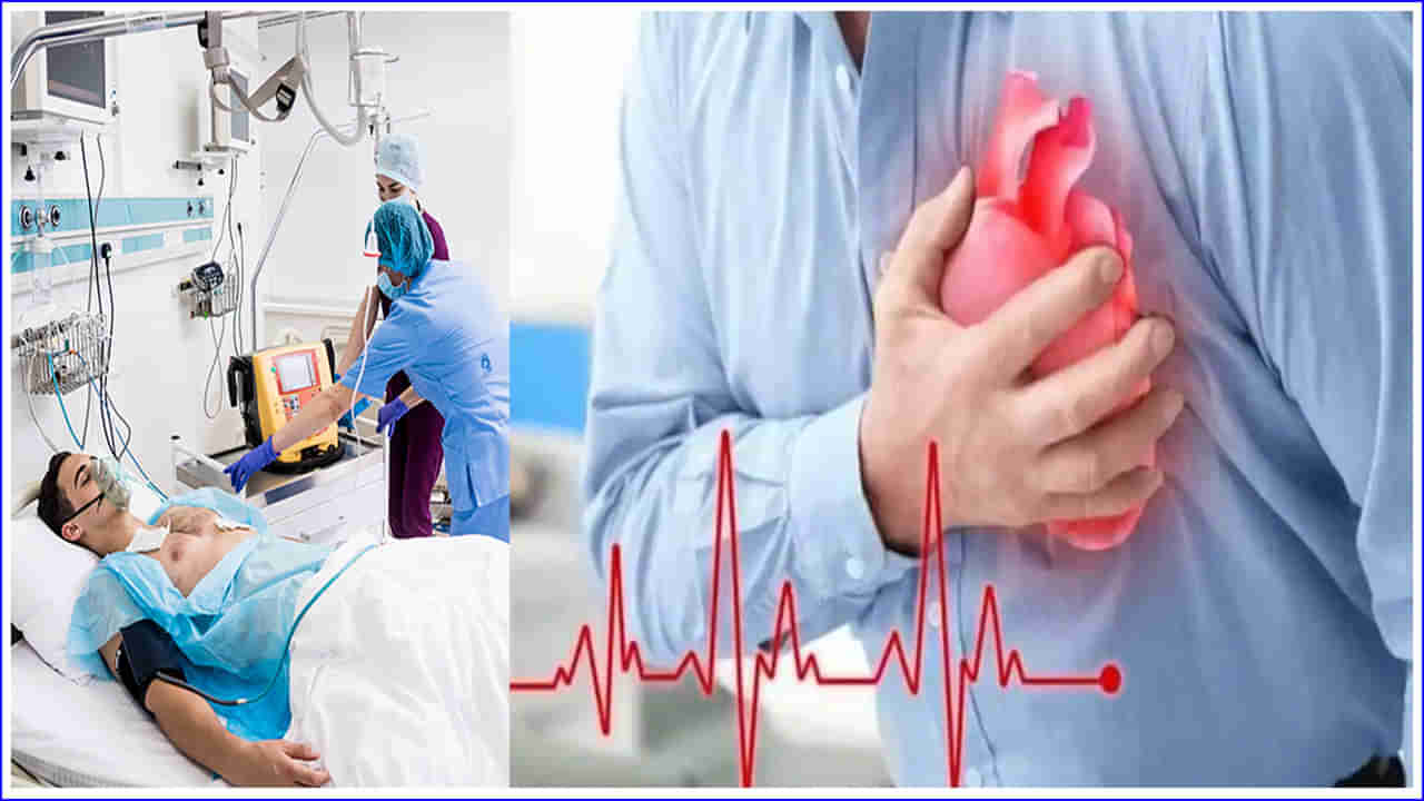 Heart Attack: చలికాలంలో బ్రెయిన్ స్ట్రోక్, గుండెపోటు ఎందుకు వస్తుంది? వాల్వ్  ఎందుకు బ్లాక్ అవుతాయి?