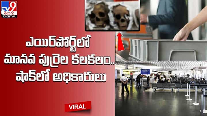 ఎయిర్పోర్ట్లో మానవ పుర్రెల కలకలం.. షాక్లో అధికారులు ఎయిర్పోర్ట్లో మానవ పుర్రెల కలకలం.. షాక్లో అధికారులు