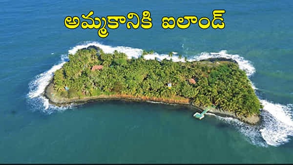 Island For Sale: అతి తక్కువ ధరకే అమ్మకానికి ఐలాండ్.. ఎలా కొనుగోలు చేయాలంటే..