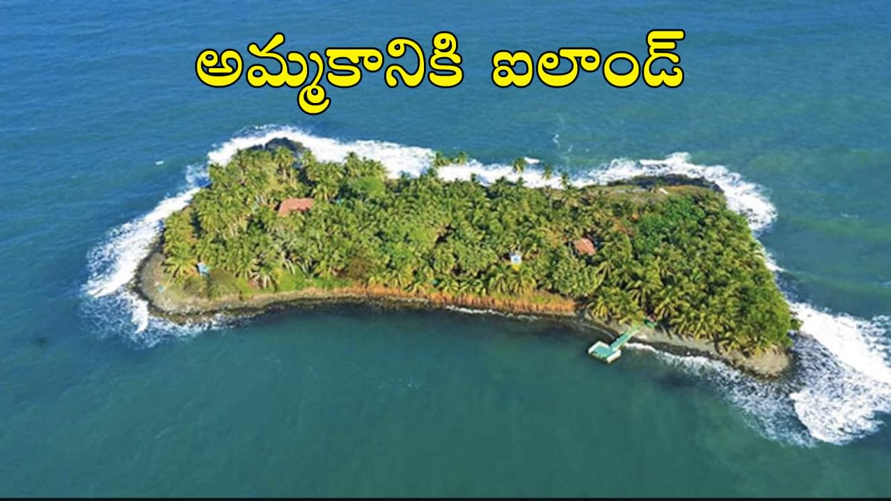 Island For Sale: అతి తక్కువ ధరకే అమ్మకానికి ఐలాండ్‌.. ఎలా కొనుగోలు చేయాలంటే..