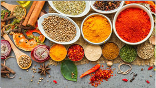 Indian Spices for Health: డయాబెటీస్, కొలెస్ట్రాల్ సమస్యలతో బాధపడుతున్నారా..? వాటిని సులభంగా నియంత్రించండిలా..!