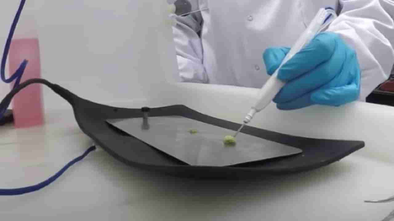 Cancer: ఇక క్షణాల్లోనే క్యాన్సర్ నిర్ధారణ.. కొత్త పరికరం వచ్చేసింది..వివరాలివిగో..