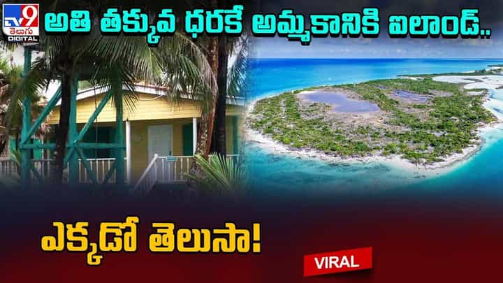 అతి తక్కువ ధరకే అమ్మకానికి ఐలాండ్.. ఎక్కడో తెలుసా ?? అతి తక్కువ ధరకే అమ్మకానికి ఐలాండ్.. ఎక్కడో తెలుసా ??