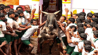 Serial Killer: వృద్ధ మహిళలే అతని టార్గెట్.. హడలెత్తిస్తున్న సైకో కిల్లర్.. బిక్కుబిక్కుమంటున్న జనం..