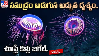 తల్లి చెంతలేని ఆ పసిబిడ్డ పరిస్థితి చూసి తల్లడిల్లిన కానిస్టేబుల్.. వెంటనే..