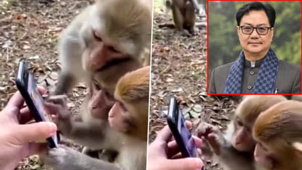 Watch Video: వామ్మో..! టెక్నాలజీపై కన్నేసిన కోతులు.. వీడియోను షేర్ చేసిన కేంద్ర మంత్రి..
