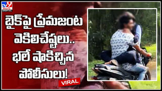 Viral Video: వామ్మో.. అత్యంత భయకరమైన ఉద్యోగం ఇదే.. ఈ వీడియో షాక్.! వైరల్ వీడియో..