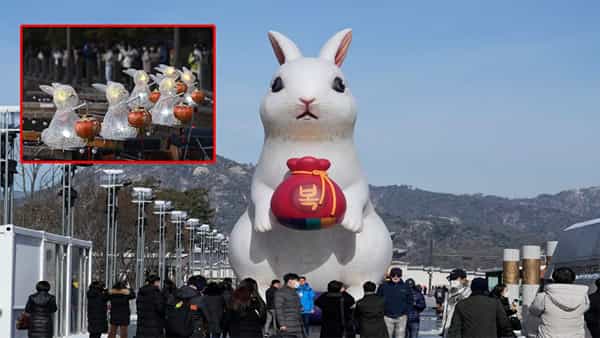 China New Year 2023: చైనా నూతన సంవత్సరం ఈ రోజే.. కుందేలు నామ సంవత్సరంలోకి అడుగుపెట్టిన డ్రాగన్ దేశం..