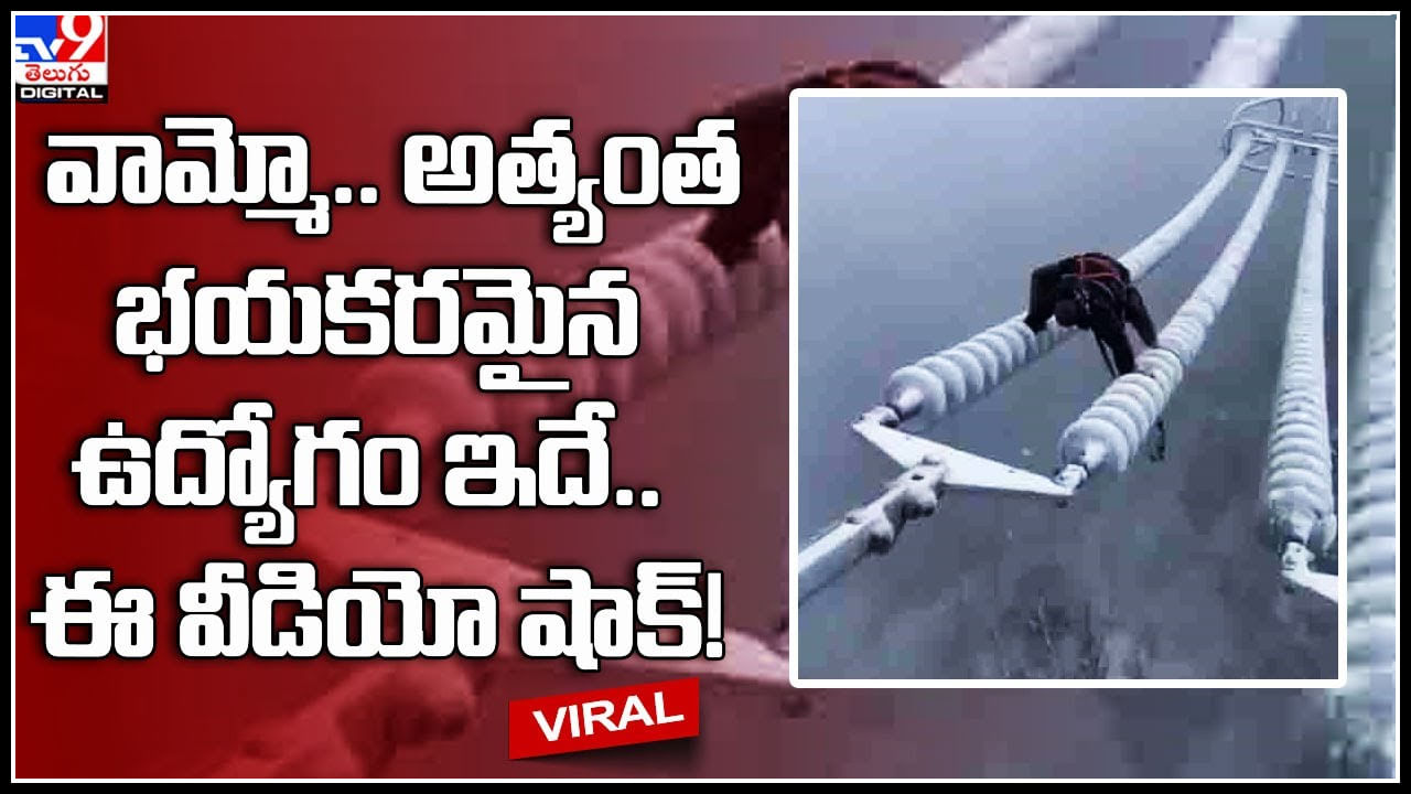 Viral Video: వామ్మో.. అత్యంత భయకరమైన ఉద్యోగం ఇదే.. ఈ వీడియో షాక్.! వైరల్ వీడియో..