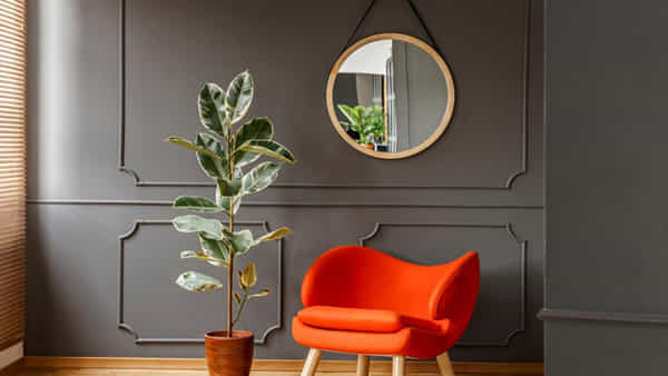 Mirror Vastu: మీ ఇంటి అద్దంలో దాగిన ధనవంతుల రహస్యం.. తెలుసుకుంటే మీరే అదృష్టవంతులు..