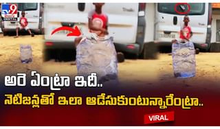 బీచ్‌లో సముద్ర పాములు.. చనిపోయినట్లుగా భ్రమించి కాటేస్తాయి..