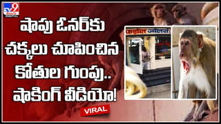 Brother – Sister: అన్న అంటే ఇలా ఉండాలి.. చెల్లెలి కోసం ఆ బాలుడు ఏం చేశాడో చూస్తే ఫిదా అయిపోతారు..