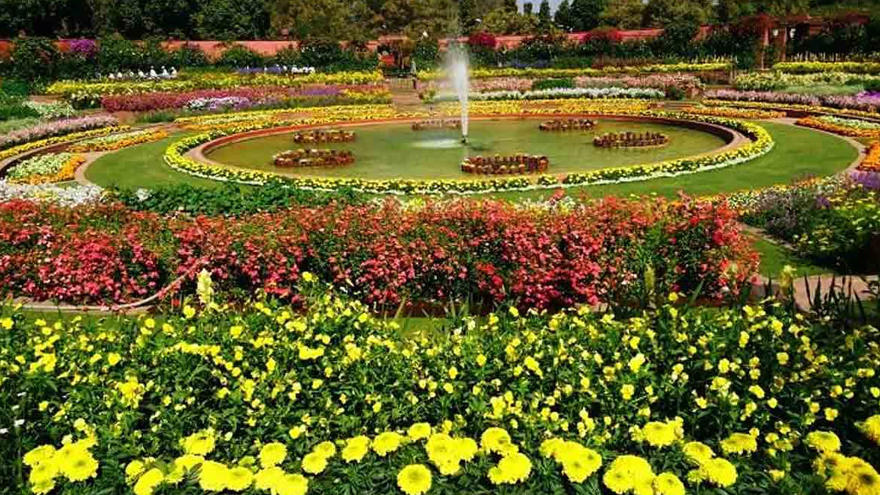 Mughal Gardens: మొఘల్ గార్డెన్ కాదు ఇక నుంచి అమృత్ ఉద్యాన్.. ఈ నెల 31 నుంచి సందర్శనానికి అనుమతి..