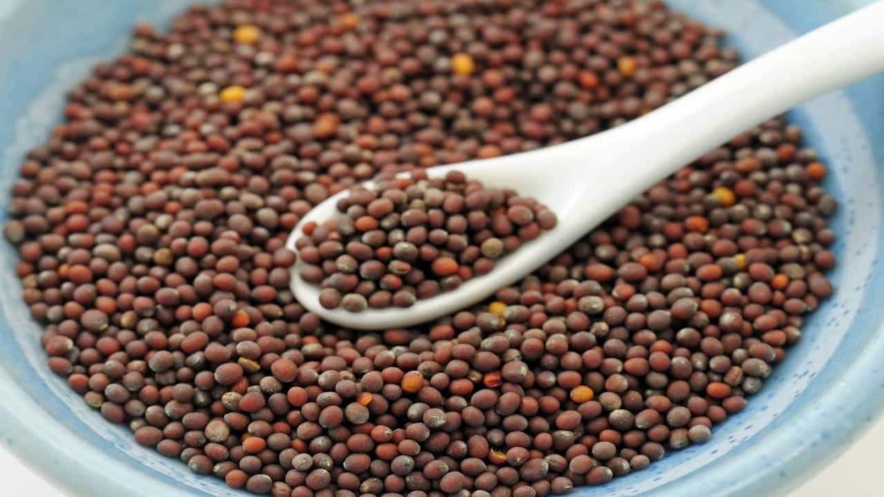 శ్వాసకోశ సమస్యలను తగ్గించడానికి ఆవాల పొడి చక్కగా పనిచేస్తుంది. ఆవాల పొడిని తేనెతో కలిపి తీసుకుంటే శ్వాసకోశ సమస్యల నుంచి విముక్తి కలుగుతుంది. అలాగే, వయసుతో సంబంధం లేకుండా వచ్చే కీళ్లనొప్పులు కూడా ఆవాలతో దూరమవుతాయి. ఆవాల ముద్దలో కర్పూరము కలిపి ఆ మిశ్రమాన్ని కీళ్ళ నొప్పులకు రాస్తే ఉపశమనం కలుగుతుంది.