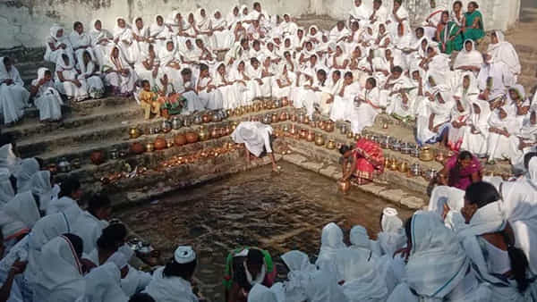 Nagoba Jatara: నాగోబా జాతరలో నేడు కొత్త కోడళ్లు కొత్త పుట్టకు పూజలు.. ఈనెల 24 న గిరిజన దర్బార్