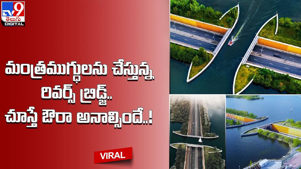 మంత్రముగ్ధులను చేస్తున్న రివర్స్ బ్రిడ్జ్‌.. చూస్తే ఔరా అనాల్సిందే ...