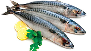 Badam Benefits: బాదంతో షుగర్ బాధ తీరిపోయినట్లే.. పరిశోధనల్లో సంచలన విషయాలు వెల్లడి