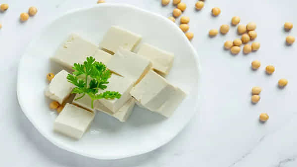 Paneer: డయాబెటిక్ రోగులు పనీర్ను తినొచ్చా? తినకూడదా? ఆరోగ్య నిపుణుల సలహా ఇదే