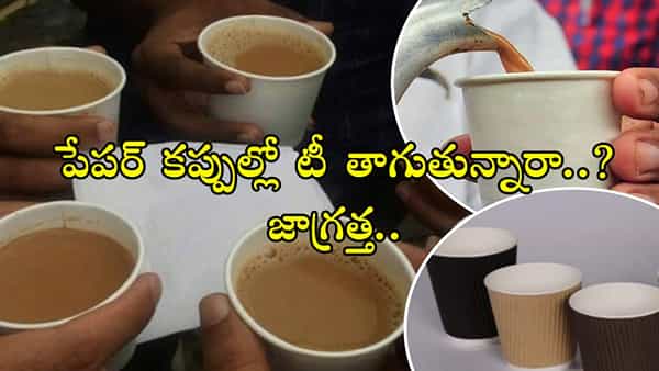Disposable Paper Cups: పేపర్ కప్పుల్లో టీ తాగుతున్నారా..? ఈ విషయం తెలిస్తే ఎప్పటికీ ముట్టుకోరు..