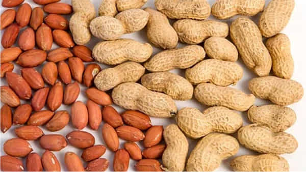 Weight Loss Tips : ఈజీగా బరువు తగ్గించే వేరుశనగలు.. ఎలా తినాలో తెలుసుకోవటం ముఖ్యం..!