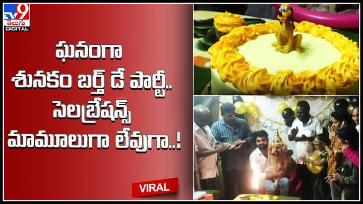 Dog Birthday: ఘనంగా శునకం బర్త్ డే పార్టీ.. సెలబ్రేషన్స్ మామూలుగా లేవుగా..!వీడియో వైరల్. Dog Birthday: ఘనంగా శునకం బర్త్ డే పార్టీ.. సెలబ్రేషన్స్ మామూలుగా లేవుగా..!వీడియో వైరల్.
