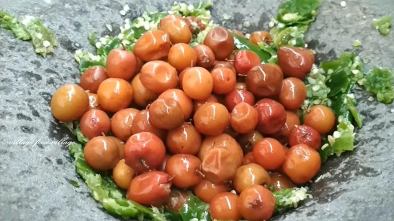 రేగు పండు చూడ్డానికి చిన్నగా వుంటుంది.పచ్చిగా వున్నప్పుడు ఆకుపచ్చ రంగులో వున్నా, పక్వానికొచ్చాక రంగు మారుతుంది. పసుపు, ఆ పై ఎరుపు రంగుకు వస్తుంది. మన దేశంలో 90 రకాల రేగుపండ్లను పండిస్తున్నారు. ఇది మంచి ఔషధకారి. రేగు పండులో ఔషధ గుణాలు చాల వున్నాయి. వీటిని తింటే కడుపులో మంట తగ్గుతుంది.