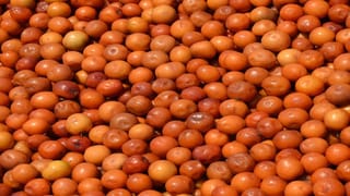 Heart Attack: రోజూ ఇలా నడిస్తే గుండెపోటు ముప్పు తక్కువే.. తాజా అధ్యయనంలో సరికొత్త విషయాలు