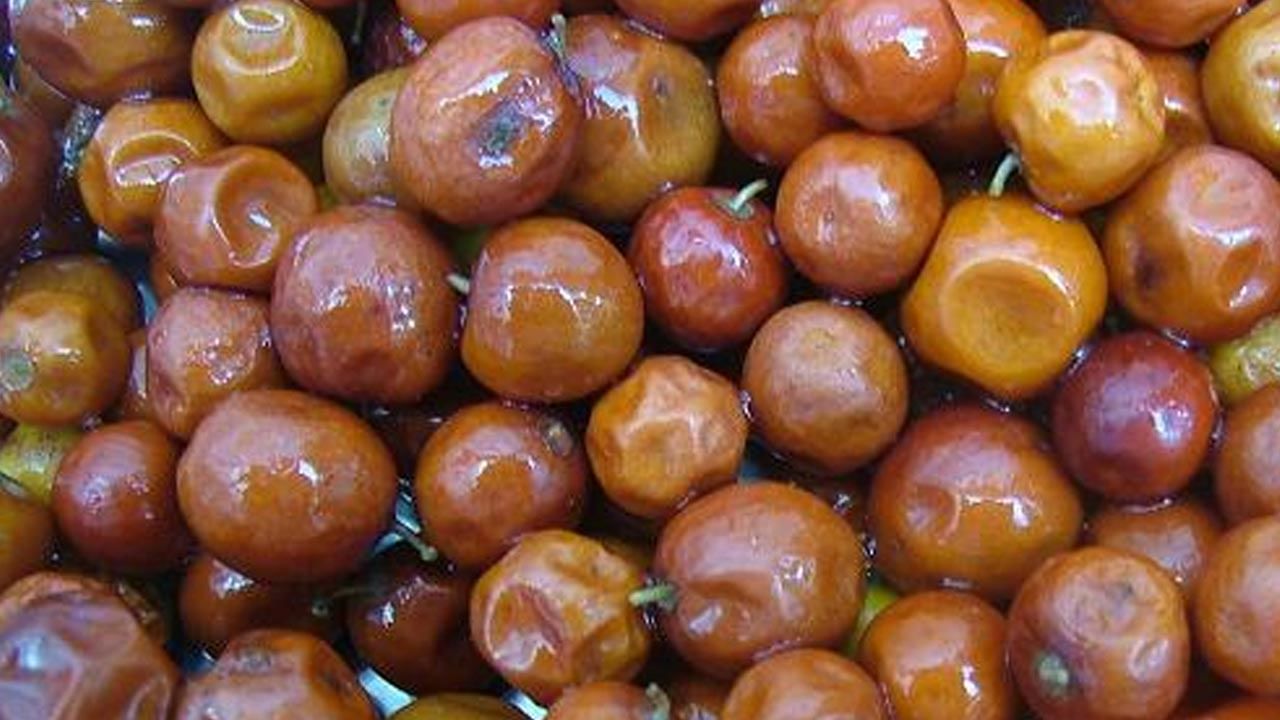 సంక్రాంతి పండుగ వస్తుందనడానికి సూచనగా పల్లెల్లో రేగుచెట్లు విరగకాస్తుంటాయి. దోరగా ఎర్రగా పండిన రేగుపండ్లు నోరూరిస్తూ వుంటాయి. ఇక పట్టణాల్లో కూడా ఏ కూడలిలో చూసినా రేగుపండ్లు విరివిగా కనిపిస్తుంటాయి. తోపుడు బండ్ల చుట్టూచేరి రేగుపండ్లను విపరీతంగా కొనుగోలు చేయడం కనిపిస్తూ వుంటుంది.