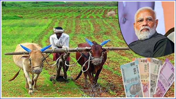 PM-Kisan: పీఎం కిసాన్ నిధి 13వ విడత డబ్బు ఖాతాలోకి రాలేదా..? వెంటనే ఈ నెంబర్లకు కాల్ చేయండి..