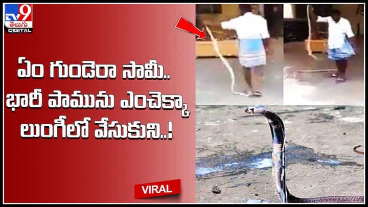 Snake in Man Dress: ఏం గుండెరా సామీ.. భారీ పామును ఎంచెక్కా లుంగీలో వేసుకుని..! వీడియో వైరల్.. Snake in Man Dress: ఏం గుండెరా సామీ.. భారీ పామును ఎంచెక్కా లుంగీలో వేసుకుని..! వీడియో వైరల్..