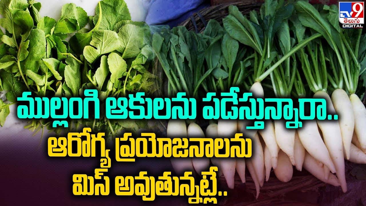 ముల్లంగి ఆకులను పడేస్తున్నారా ఆరోగ్య ప్రయోజనాలను మిస్ అవుతున్నట్లే