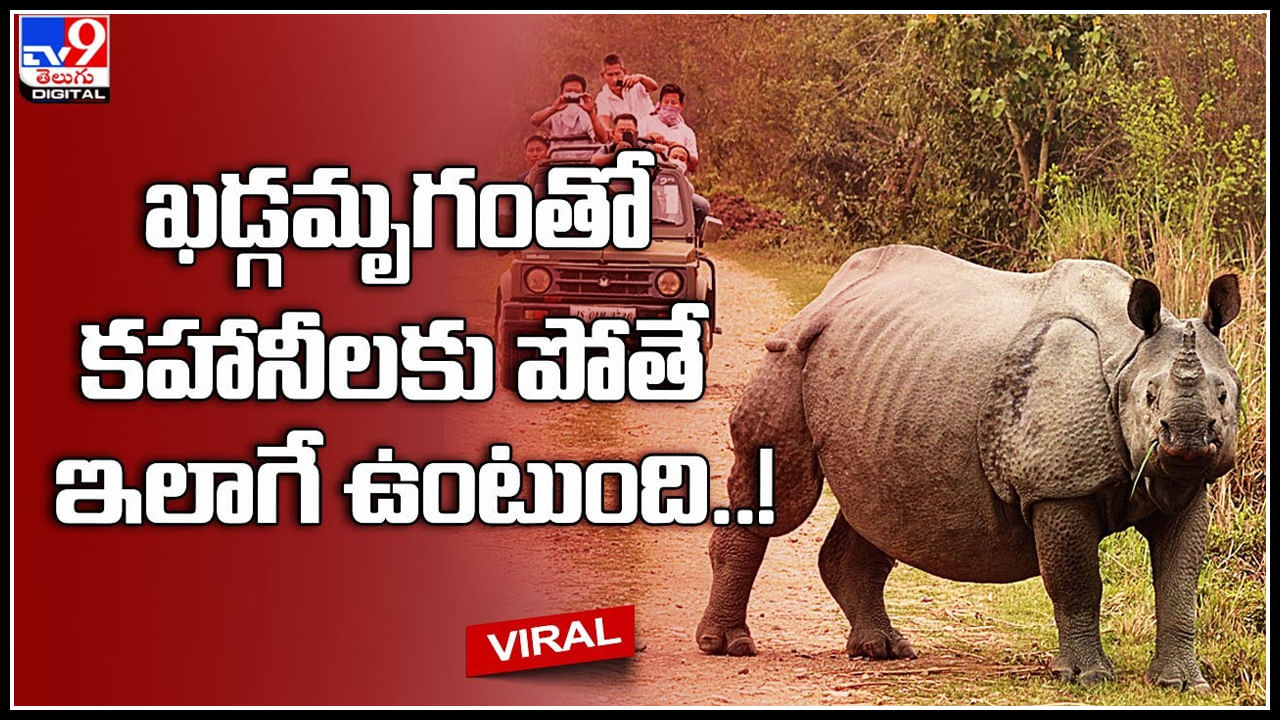 Rhinoceros Jumps: ఖడ్గమృగంతో కహానీలకు పోతే ఇలాగే ఉంటుంది..! వీడియో చూస్తే నవ్వాగదు.. వీడియో.