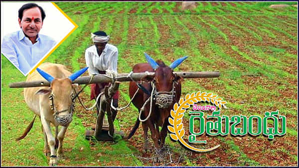 Rythu Bandhu: అకౌంట్లో రైతుబంధు నగదు పడినా.. ఇవ్వని బ్యాంకు అధికారులు.. లబోదిబోమంటున్న రైతులు.. కారణం ఏంటంటే..