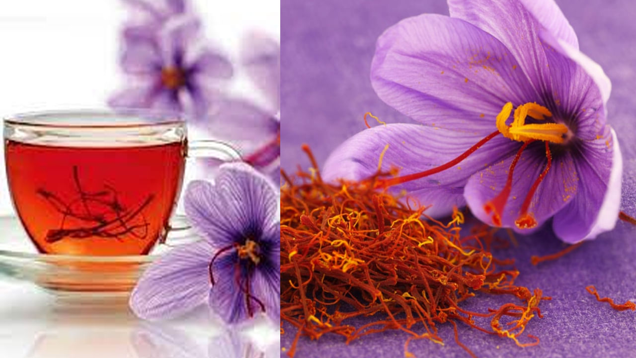 Saffron Tea: పుత్తడితో తులతూగే కుంకుమపువ్వు .. అందం, ఆరోగ్యాన్నిచ్చే కేసరీ టీ తయారీ.. ఆరోగ్య ప్రయోజనాలు మీకోసం