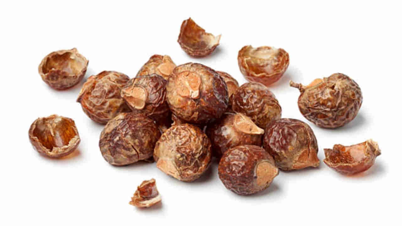 Soap Nuts: కేశసంరక్షణలో కుంకుడుకాయల ప్రయోజనాలేమిటో తెలుసా..? తెలిస్తే షాంపూల వైపు చూడనే చూడరు..