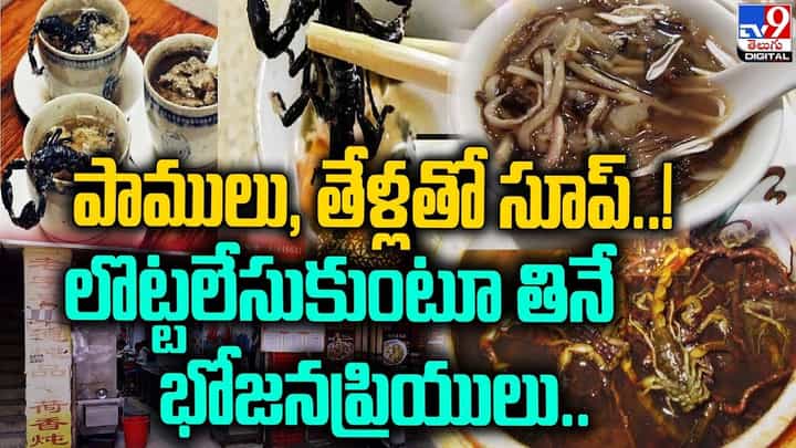పాములు, తేళ్లతో స్పెషల్ సూప్ !! లొట్టలేసుకు తినే భోజనప్రియులు పాములు, తేళ్లతో స్పెషల్ సూప్ !! లొట్టలేసుకు తినే భోజనప్రియులు