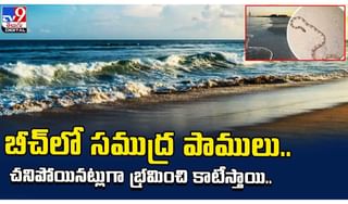 కవలల్లో ఒకరు మృతి.. రెండో బిడ్డను తల్లి కడుపులోనే ఉంచి..