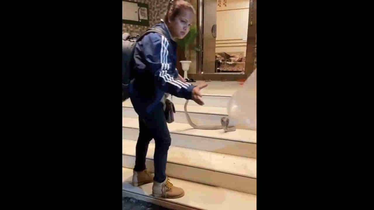 Watch Video: అమ్మో ఇంత ధైర్యం ఎక్కడిదమ్మా! మోస్ట్ డేంజర్ పామును సెకన్లలోనే పట్టేసింది..