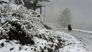 Crime News: దొంగల ముఠా నాయకుడికి క్యాన్సర్.. ఖరీదైన కార్లు చోరీచేసి వైద్యం చేయిస్తోన్న అనుచరులు