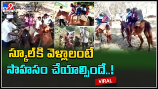 Trending Video: ఈ డ్యాన్స్ కు ఊ అనకుండా ఉండగలమా.. బెల్లీ డ్యాన్స్ తో ఊపేసిన యువతి.. ఇంటర్నెట్ లో రచ్చ రచ్చే..