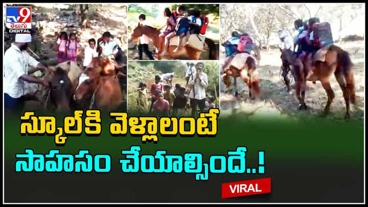 Students on horse: స్కూల్ కి వెళ్లాలంటే సాహసం చేయాల్సిందే..! ఈ స్టూడెంట్స్ మరీ దారుణం.. వీడియో వైరల్. Students on horse: స్కూల్ కి వెళ్లాలంటే సాహసం చేయాల్సిందే..! ఈ స్టూడెంట్స్ మరీ దారుణం.. వీడియో వైరల్.