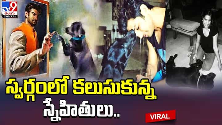 సుశాంత్ పెంపుడు శునకం మృతి !! స్వర్గంలో కలుసుకున్న స్నేహితులు !! సుశాంత్ పెంపుడు శునకం మృతి !! స్వర్గంలో కలుసుకున్న స్నేహితులు !!