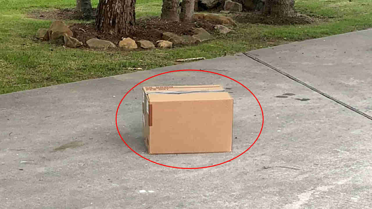 Viral: ఫుట్పాత్పై అనుమానాస్పద చెత్త బాక్స్.. ఏంటని తెరిచి చూడగా.. కళ్లు బైర్లు!