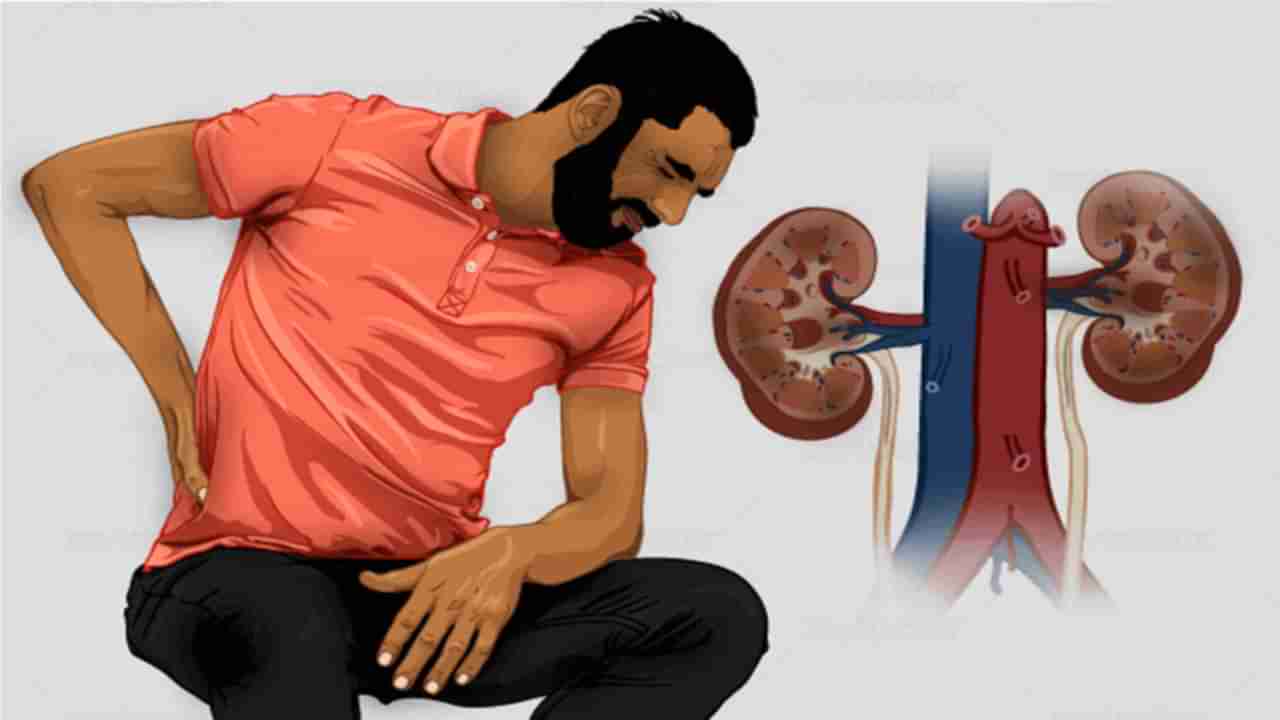 Kidney Problem: మీ శరీరంలో ఈ లక్షణాలు కనిపిస్తే అసలు నిర్లక్ష్యం చేయకండి.. ఎందుకంటే..