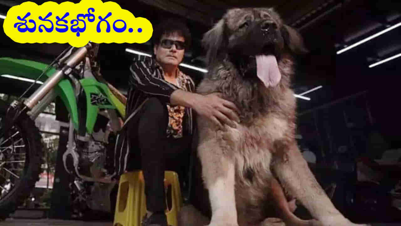 Pet Dog: ఈ జాగిలం చాలా స్పెషల్‌ గురూ.. ఏకంగా రూ.20 కోట్లతో కొనుగోలు చేసిన హైదరాబాద్‌ వాసి!