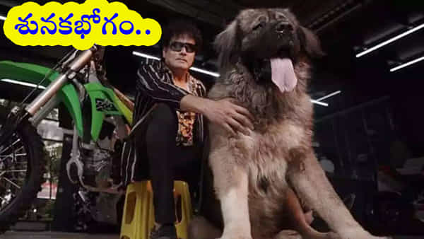 Pet Dog: ఈ జాగిలం చాలా స్పెషల్ గురూ.. ఏకంగా రూ.20 కోట్లతో కొనుగోలు చేసిన హైదరాబాద్ వాసి!