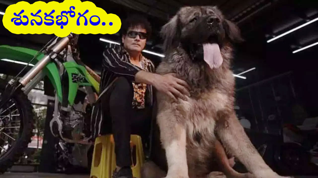 Pet Dog: ఈ జాగిలం చాలా స్పెషల్‌ గురూ.. ఏకంగా రూ.20 కోట్లతో కొనుగోలు చేసిన హైదరాబాద్‌ వాసి!