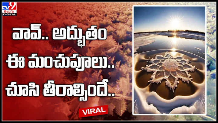 Ice Flowers: వావ్.. అద్భుతం ఈ మంచుపూలు.. అద్భుతమైన వీడియో చూసి తీరాల్సిందే.. Ice Flowers: వావ్.. అద్భుతం ఈ మంచుపూలు.. అద్భుతమైన వీడియో చూసి తీరాల్సిందే..