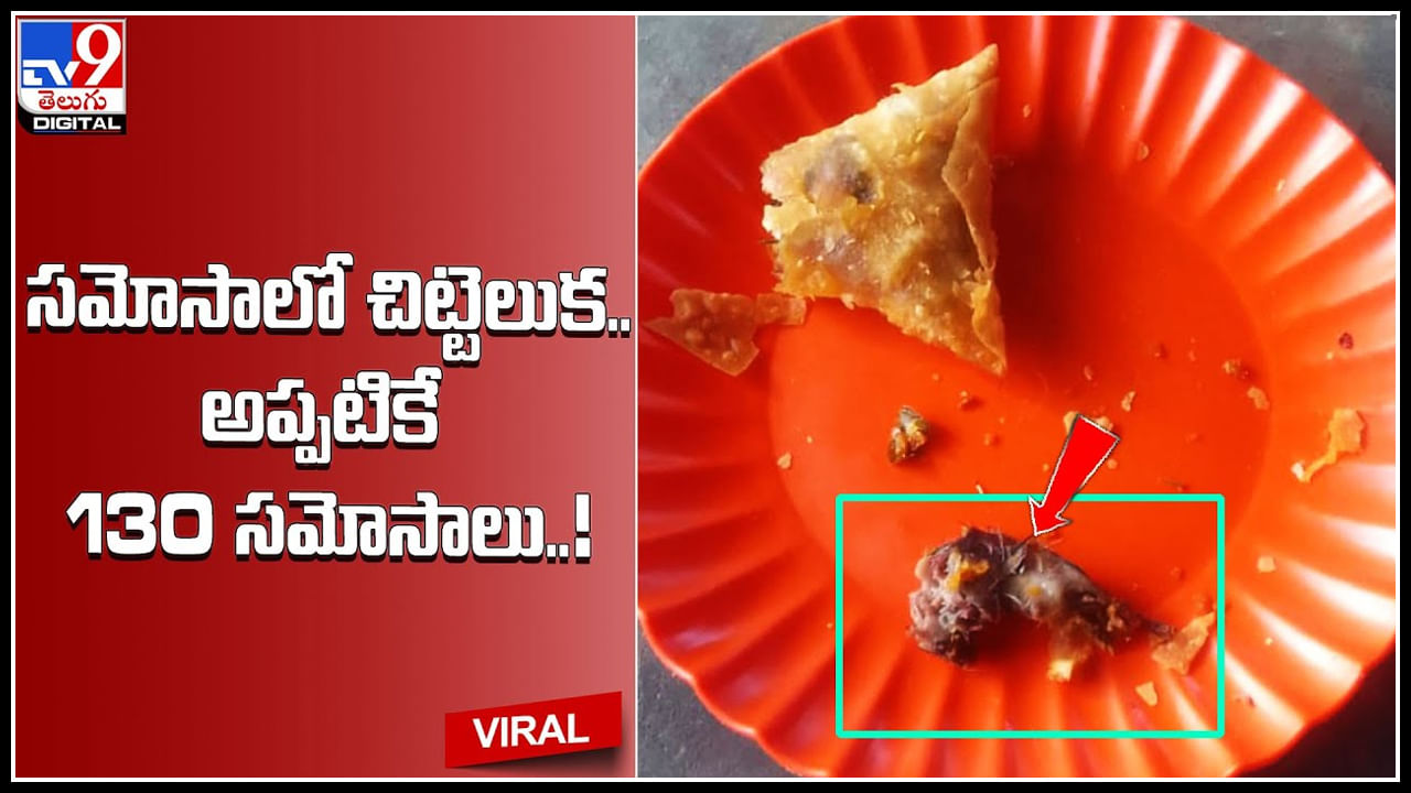 Rat in Samosa: సమోసాలో బయటపడ్డ చనిపోయిన చిట్టెలుక.. అప్పటికే 130 సమోసాలు..! వైరల్ వీడియో.